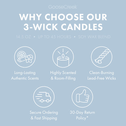 Blueberry Lemon Bundt Cake 3-Wick Candle